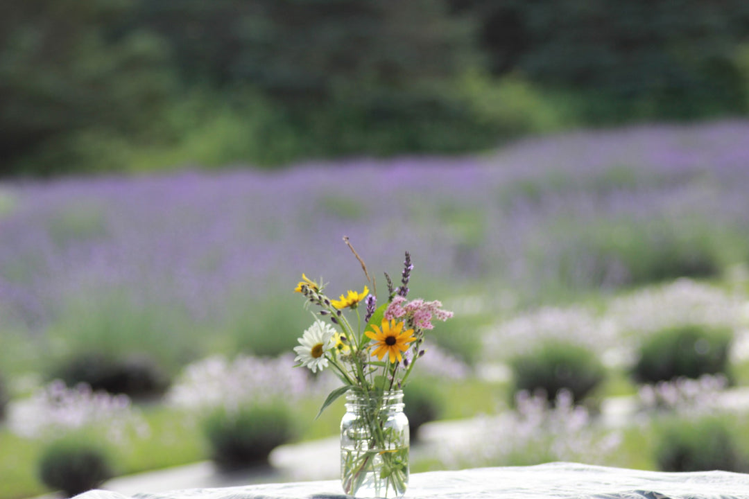 Couple enjoying Date Night at Spring Creek Lavender Farm with flowers and goats