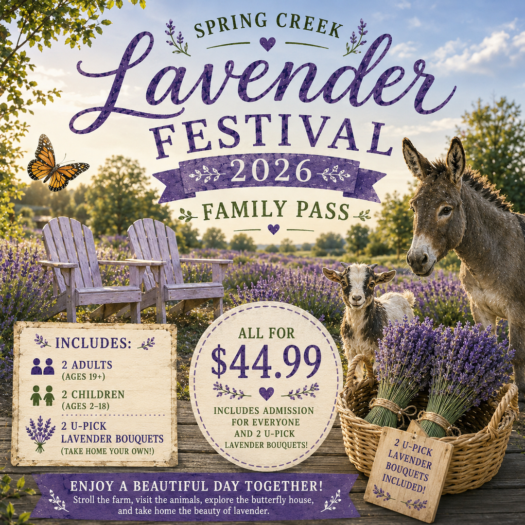 2026 Lavender Festival– Family Pass