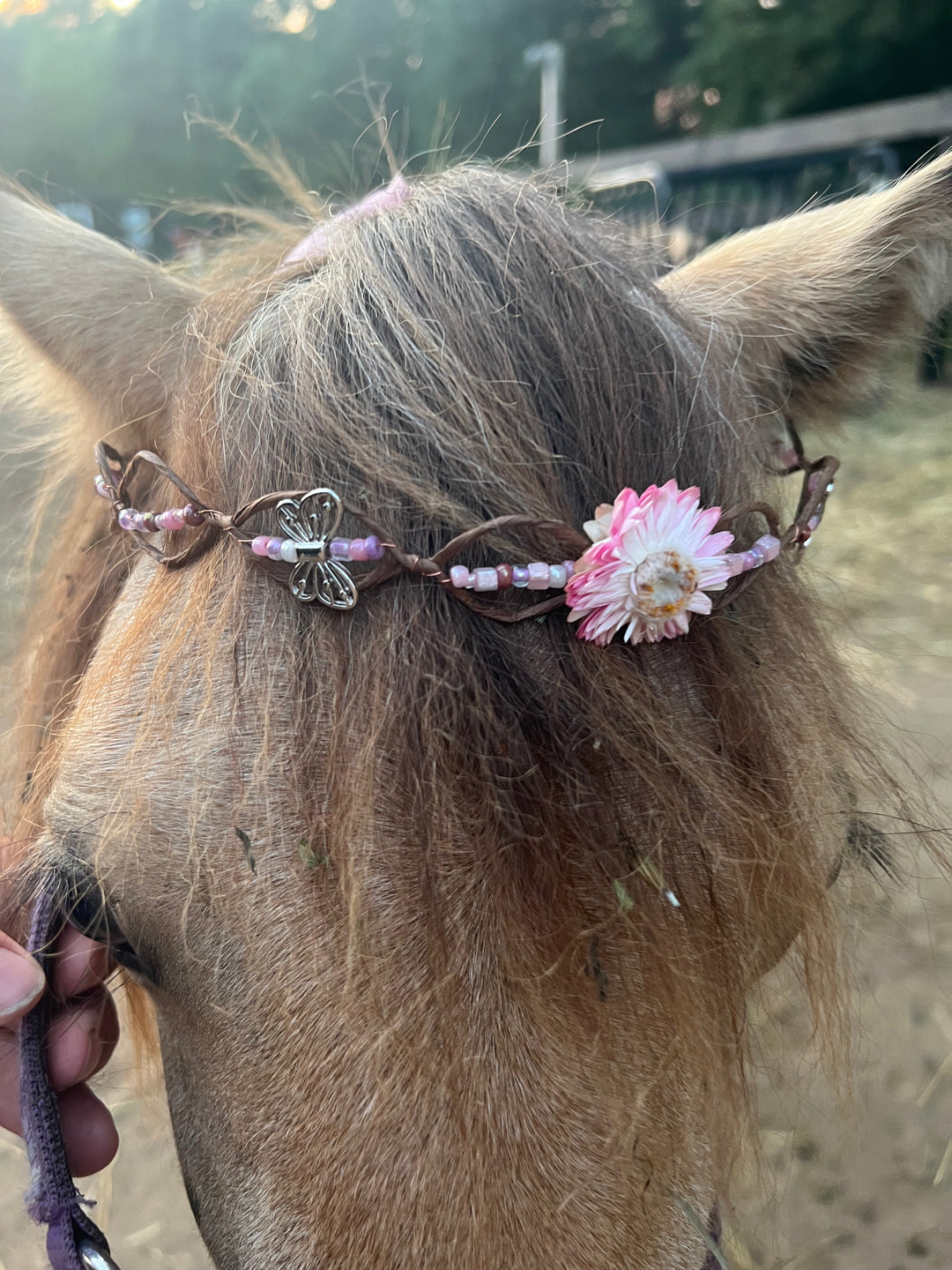 Fairy Crown