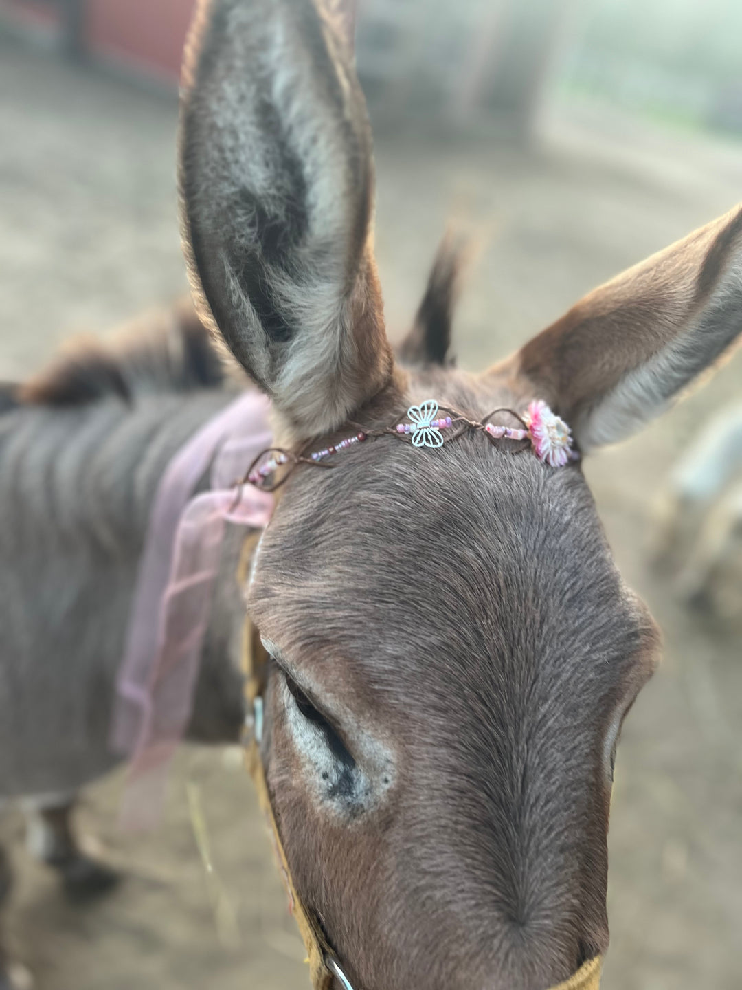 Fairy Crown